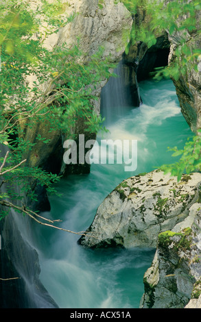 Lepena Soca River dans le parc national du Triglav Slovénie Banque D'Images