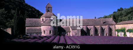 Abbaye de Sénanque, champ de lavande en Provence, France, avant Banque D'Images