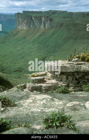 Tablelands de Chapada Diamantina Bahia Brésil vu de Morro do Pai Inacio Banque D'Images