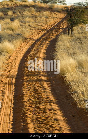 4x4 voie au travers du désert du Kalahari en Namibie Banque D'Images