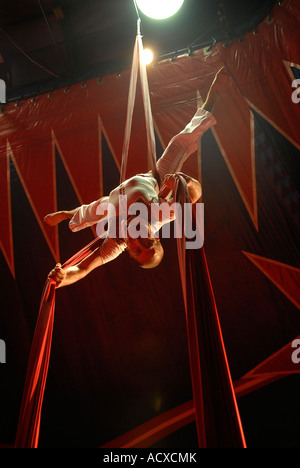 Artiste de cirque acrobat enchevêtré dans rideaux rouge Banque D'Images