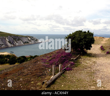 Les aiguilles vue de Headon Warren sur l'île de Wight Banque D'Images