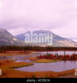 Montagnes Rocheuses à l'automne le long de la route Yellowhead près de Jasper dans le parc national Jasper, dans les Rocheuses canadiennes en Alberta Canada Banque D'Images