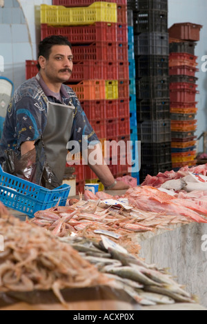 Tripoli (Libye). Marché aux poissons, Rashid Street. Poissonnier égyptien Banque D'Images