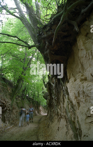 Personnes dans un ravin dans le parc paysager de Kazimierz, Pologne Banque D'Images