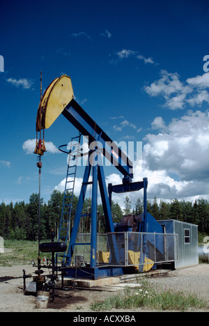 L'huile de la pompe (âne) de pomper à puits de pétrole de champ de pétrole au nord de Dawson Creek, dans le Nord de la Colombie-Britannique, BC, Canada Banque D'Images