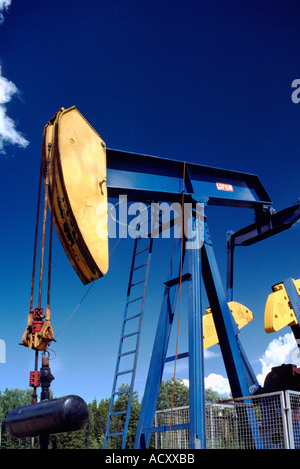 L'huile de la pompe (âne) de pomper à puits de pétrole de champ de pétrole au nord de Dawson Creek, dans le Nord de la Colombie-Britannique, BC, Canada Banque D'Images