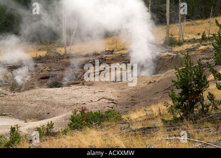 Les fumerolles à Geyser Hill. Old Faithful. Le Parc National de Yellowstone. L'État du Wyoming. USA Banque D'Images