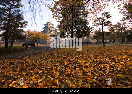 Tôt le matin, vue sur Château de Matsumoto le parc en automne Matsumoto Préfecture Nagano Japon Banque D'Images