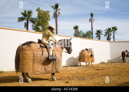 Cavalier (Picador) se préparer pour la parade d'ouverture (paseillo), avant d'une corrida, Espagne Banque D'Images