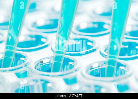 Pipette à canaux multiples pour quatre-vingt-dix six puits Banque D'Images