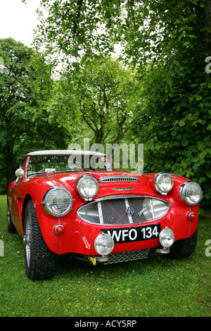 Austin Healey rouge à vintage car show à Fyvie Castle, Aberdeenshire, Scotland, UK Banque D'Images