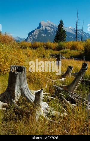 Le mont Rundle vu de la rive du lac Vermillion le second sentier Fenland Canadian Rockies Alberta Canada Banque D'Images