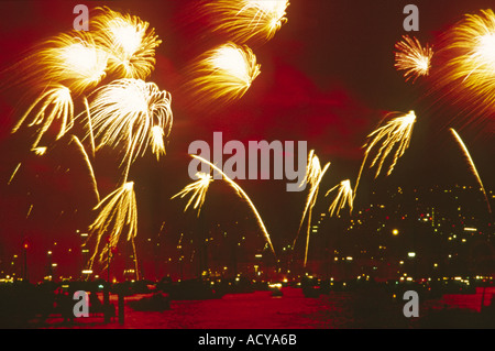 La nuit d'artifice ciel noir Banque D'Images