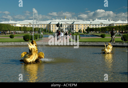 Grand Palais, Peterhof, Russie Banque D'Images