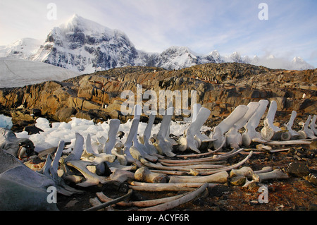 Beau paysage dans la péninsule Antarctique Antarctique Banque D'Images