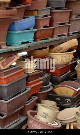 Sélection de pots bonsai for sale at market stall en Chine Banque D'Images