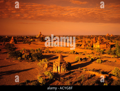 Myanmar Pagode païenne plaine couverte au coucher du soleil Banque D'Images