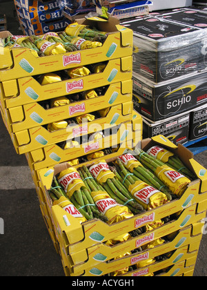 Les boîtes jaunes aux asperges vertes fabrication Espagnole au Market Square Banque D'Images