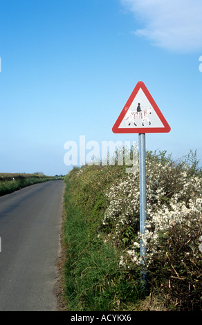 Horse Rider road sign avec zebra stripes Banque D'Images