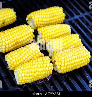 Des aliments barbecue maïs cuits sur un barbecue à gaz Banque D'Images