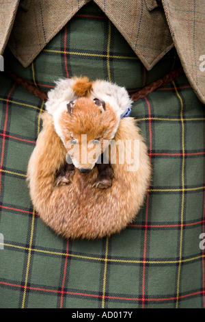 Sporran écossais Fourrure de renard porté avec kilt , Aboyne Scottish Highland Games, Royal Deeside, Scotland UK Banque D'Images