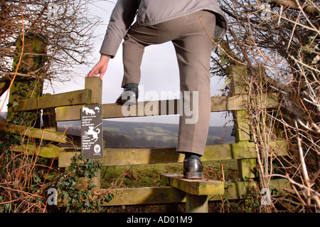 Un montant EN BOIS AVEC UNE PRIÈRE DE GARDER VOTRE CHIEN EN LAISSE PRÈS DE ABERGAVENNY WALES UK Banque D'Images