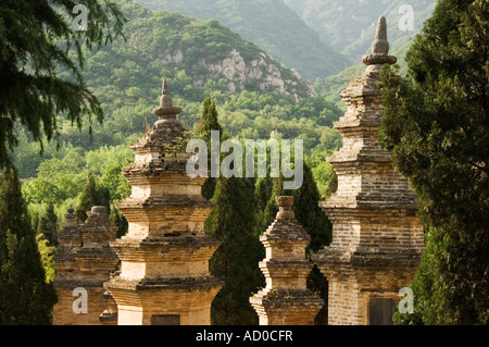 Au cimetière de la forêt de la Pagode du Temple Shaoling le berceau du Kung Fu Shaolin arts martiaux de la province de Henan Chine Banque D'Images