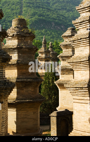 Au cimetière de la forêt de la Pagode du Temple Shaoling le berceau du Kung Fu Shaolin arts martiaux de la province de Henan Chine Banque D'Images