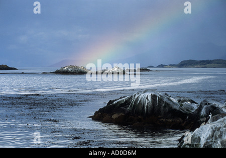 Arc-en-ciel sur le canal de Beagle entre l'Argentine et le Chili Banque D'Images