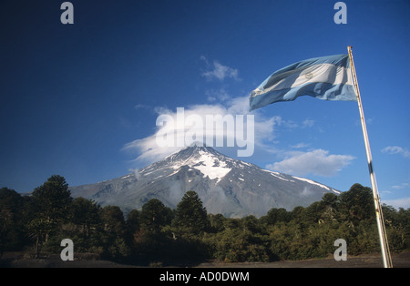 Forêt monkey puzzle ou araucaria (Araucaria araucana) , Volcan Lanin et drapeau argentin, Argentine Banque D'Images