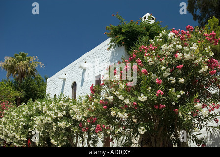 Bodrum traditionnel chambre Oléandre et fleurs, Bodrum Turquie. Banque D'Images