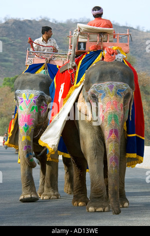 Portrait vertical de deux éléphants indiens peints en marchant le long de la route vers l'Amber Palace prêt pour travaux. Banque D'Images