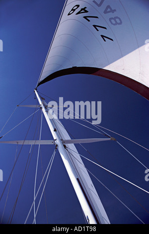 Jusqu'à en un voile foc, vent soufflant à Marina Del Rey CA CALIFORNIE, le vent dans les voiles Banque D'Images