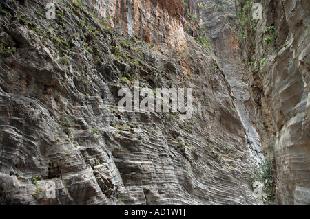 Gorges de Samaria Parc national dans l'île grecque de Crète Banque D'Images