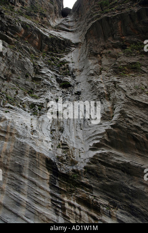 L'eau qui goutte sur un versant de montagne dans les gorges de Samaria Parc national dans l'île grecque de Crète Banque D'Images