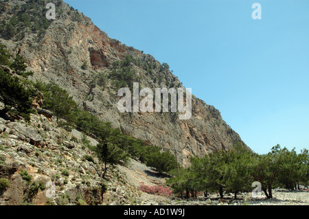 Voir à Agia Roumeli village situé sur le bord de la Gorge de Samaria Parc national sur l'île grecque de Crète Banque D'Images