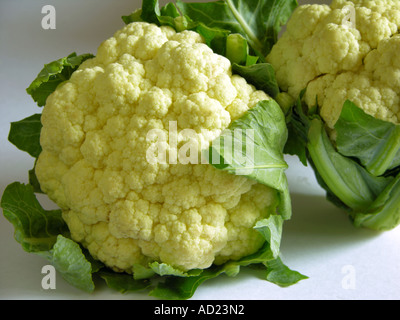 La nourriture mangeable deux ADC72761 pièces brutes avec légumes Chou-fleur comestible vert feuilles et fleurs fond blanc crémeux Banque D'Images