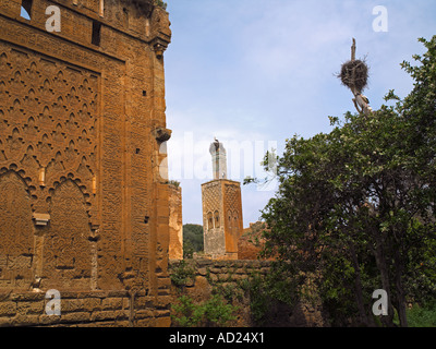 Ruines islamiques Banque D'Images