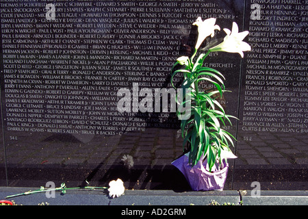 Noms sur Vietnam Veterans Memorial Wall, Constitution Gardens, National Mall, Washington, DC, USA Banque D'Images