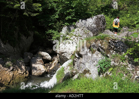 Balades touristiques dans les gorges de Bicaz, les gorges du Bicaz Hasmas, le sud de l'Moldavie, Roumanie Banque D'Images