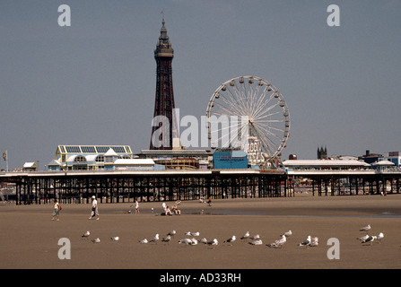 Front de mer de Blackpool Central Pier avec Tour Banque D'Images