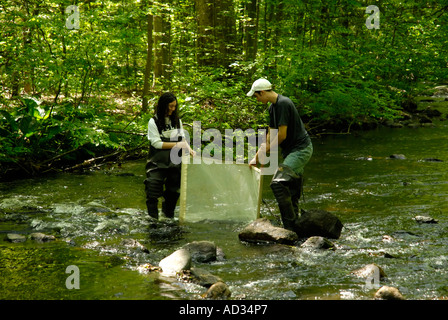 Teenage boy and girl en utilisant 'kick-seine" à flux net de l'échantillon pour les indicateurs de la qualité de l'eau d'invertébrés Banque D'Images