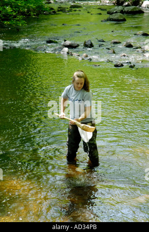 Adolescente en utilisant l'eau de la rivière d'échantillonnage net pour les poissons et invertébrés d'indicateurs biologiques de la qualité de l'eau Banque D'Images