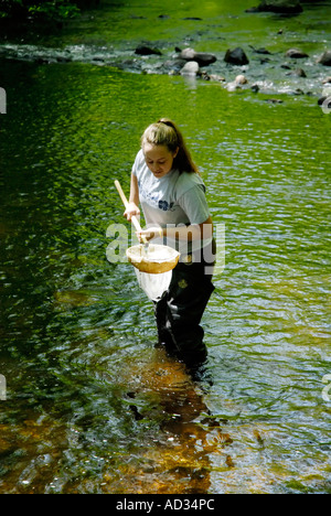 Adolescente en utilisant l'eau de la rivière d'échantillonnage net pour les poissons et invertébrés d'indicateurs biologiques de la qualité de l'eau Banque D'Images