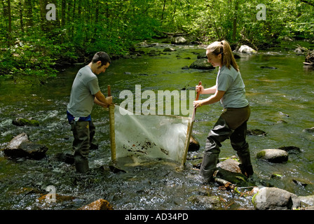 Teenage boy and girl en utilisant 'kick-seine" à flux net de l'échantillon pour les indicateurs de la qualité de l'eau d'invertébrés Banque D'Images