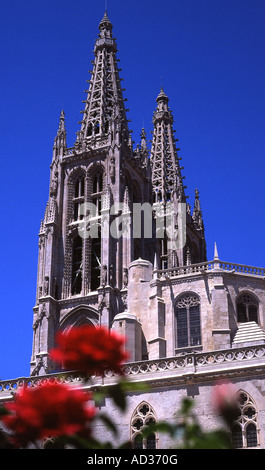 Les clochers de la cathédrale vu à travers roses Burgos Castille et Leon Espagne Banque D'Images