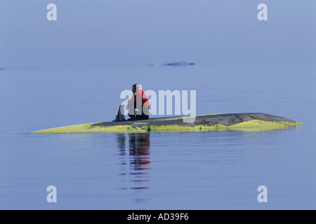 L'homme et son meilleur ami assis sur de minuscules de l'île de la Mer Baltique avec cellulaire et un chien Banque D'Images