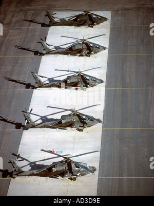 Line up de Boeing AH-64 Apaches à Mesa Falcon Field USA Banque D'Images