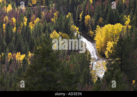 Shining Route forestière l'horizontale Banque D'Images